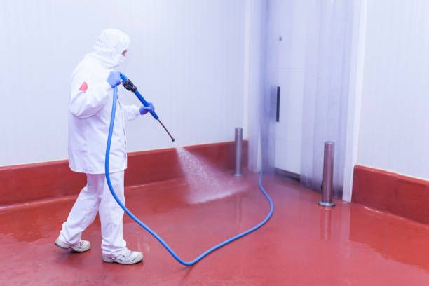 Trusted Cherryland, CA Pressure Washing Experts