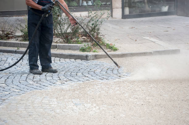 Animal Enclosure Cleaning in Cherryland, CA